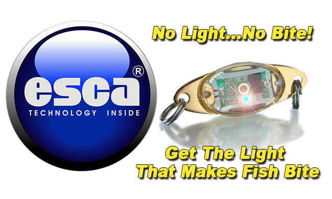 ESCA Lure Light – Nuts and Bolts of Fishing & Boating