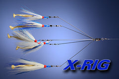Project X X-Rig