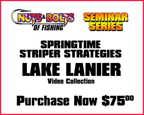 Seminar Series Videos