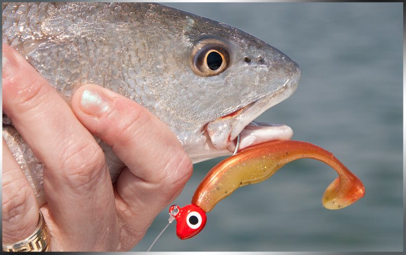 Project X Saucertail Swimbait 3"