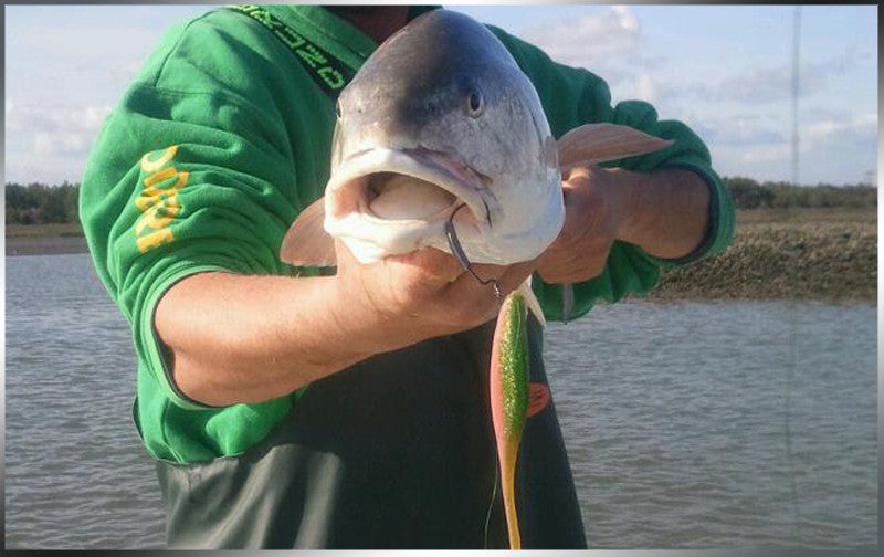 Project X Saucertail Swimbait 5"