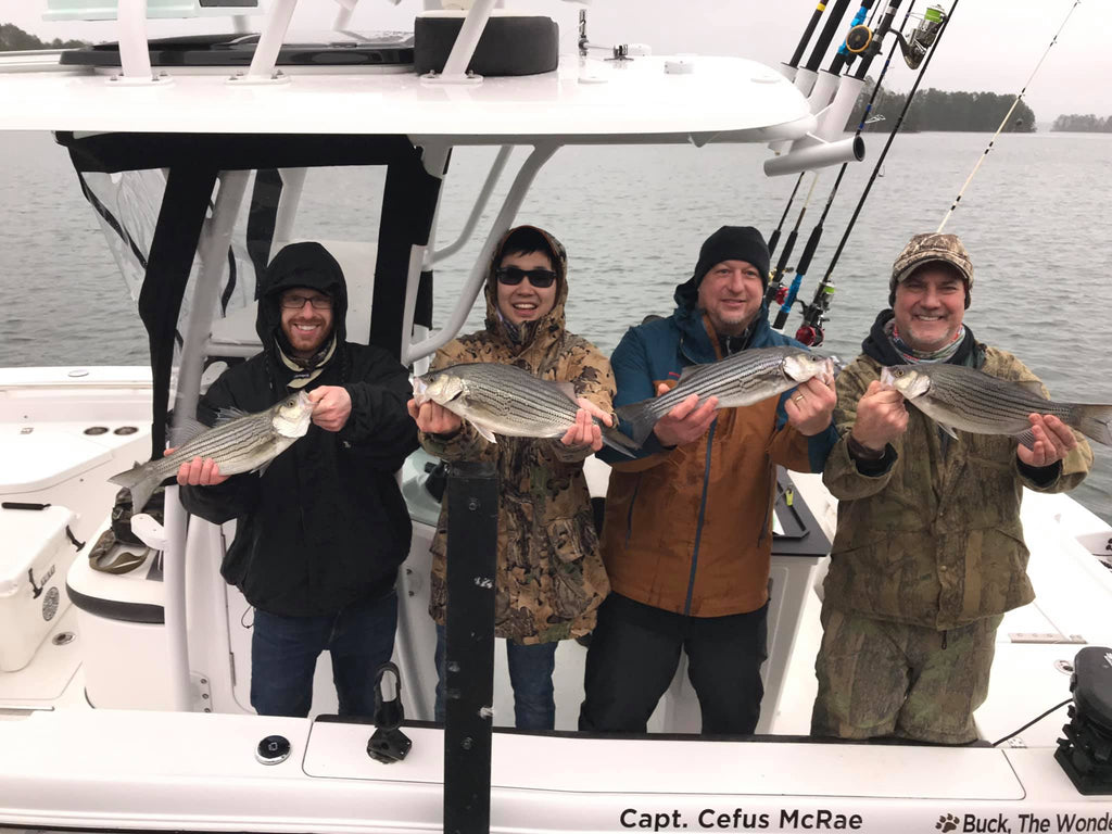 Striper Fishing Gift Certificate