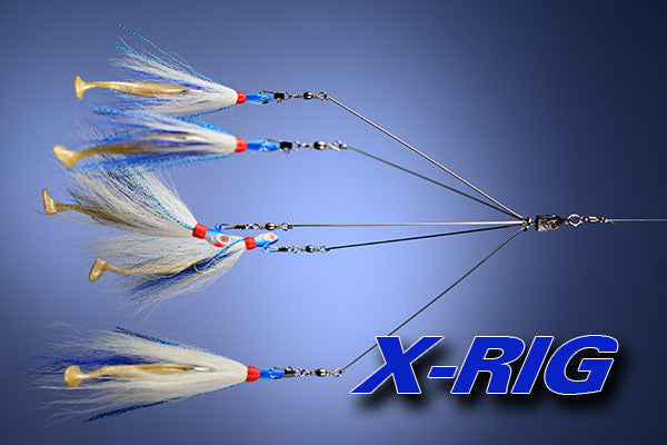 Project X   X-Rig