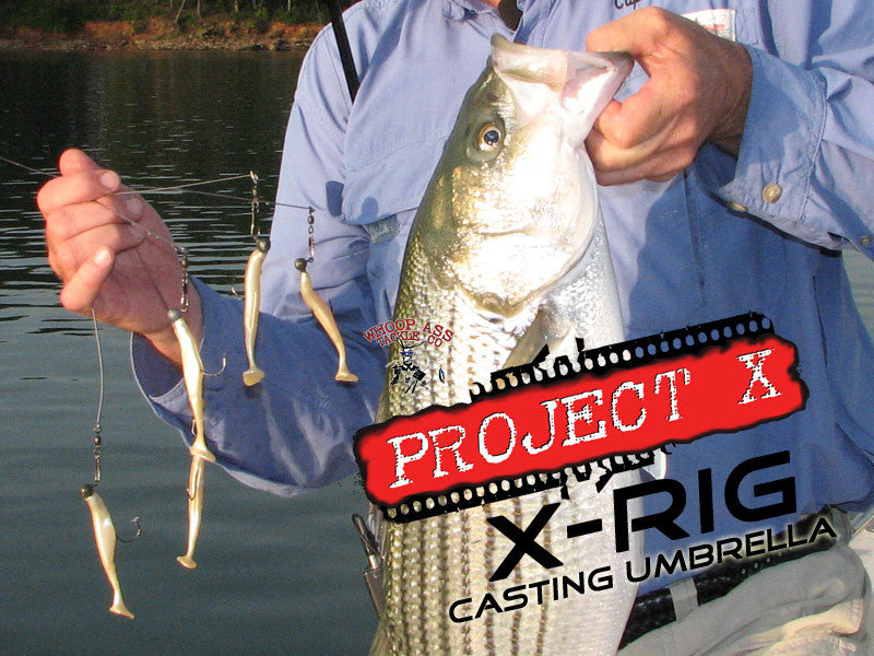 Project X   X-Rig