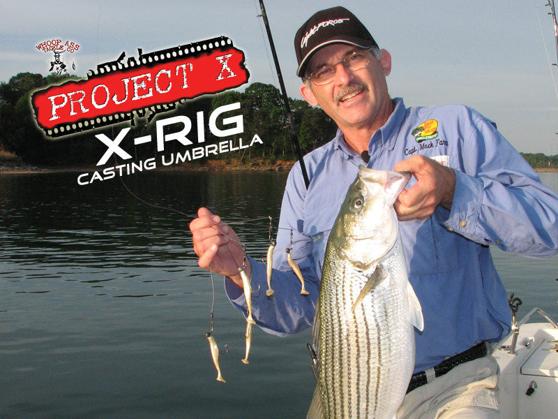 Project X   X-Rig